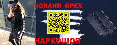 стафф Кингисепп