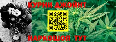 крисы Кинель