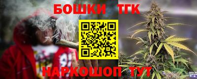 стафф Кингисепп
