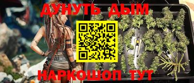 крисы Кинель