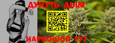 стафф Кингисепп