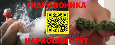 крисы Кинель