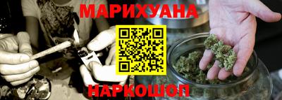 стафф Кингисепп