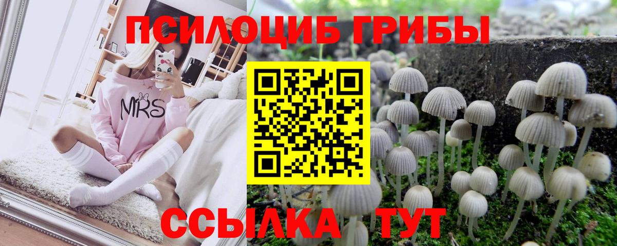 Казань  Псилоцибиновые грибы ЛСД  Вход с VPN  Галлюциногенные грибы GOLDEN TEACHER 