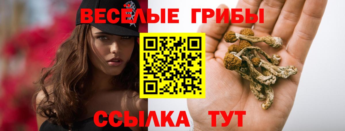 Галлюциногенные грибы ЛСД Казань